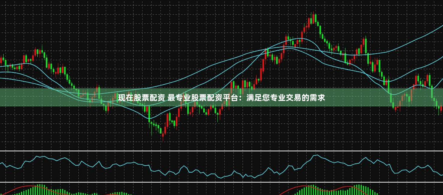 现在股票配资 最专业股票配资平台：满足您专业交易的需求